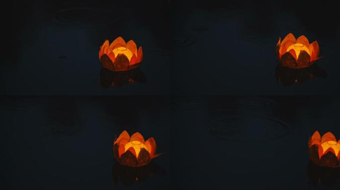 漂浮在水上的莲花灯