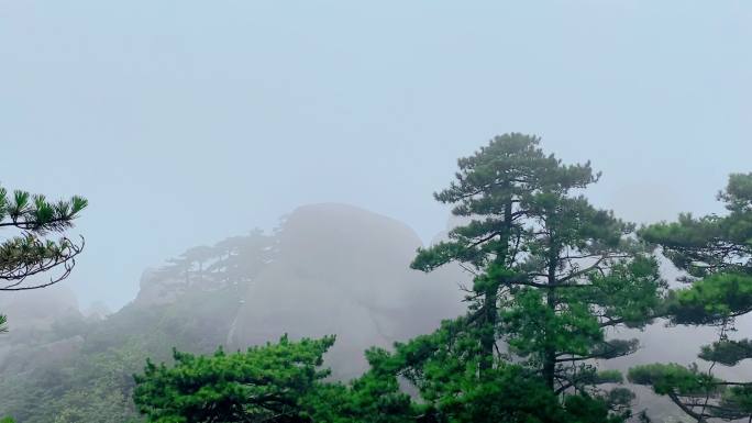 云海山林雾气弥漫山顶雨雾凉爽气候