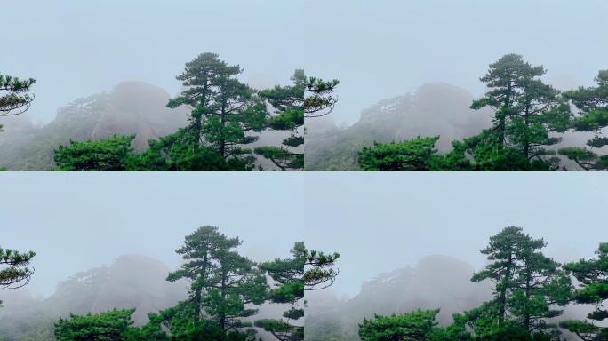 云海山林雾气弥漫山顶雨雾凉爽气候