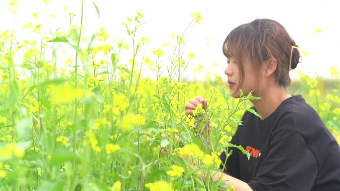 女生花海里面闻花