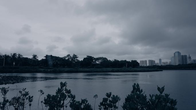 公园雨景-延时