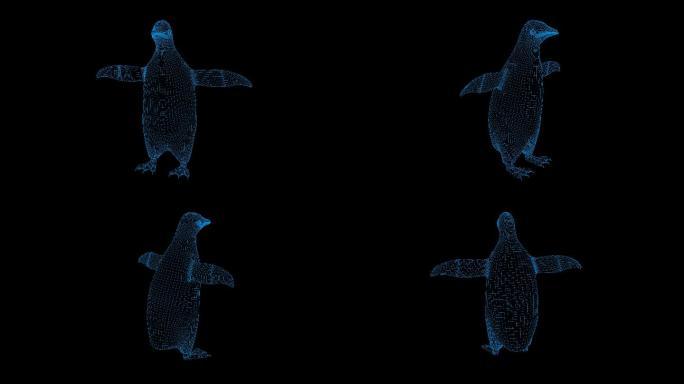 4K蓝色全息科技线框小企鹅视频素材带通道