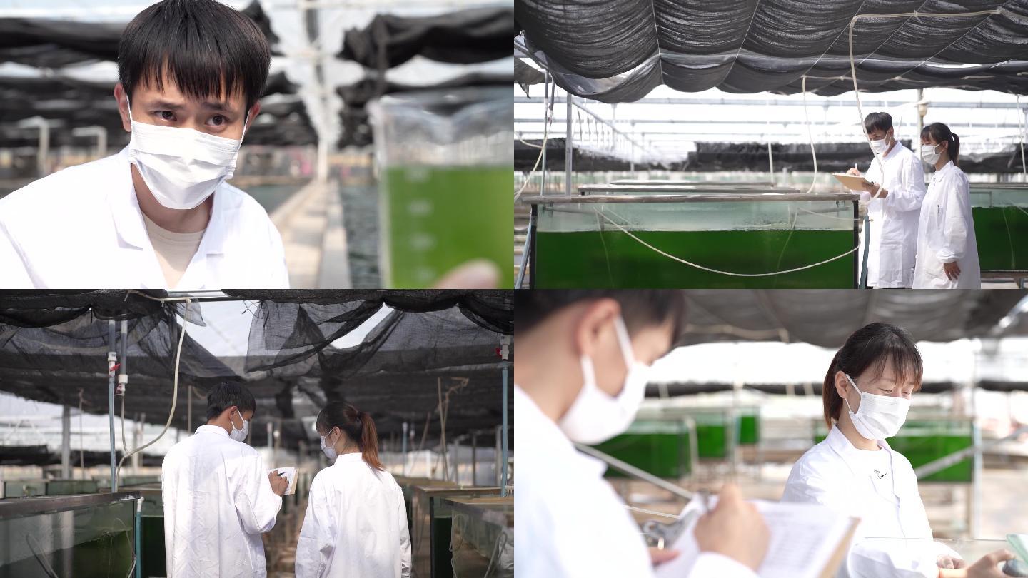 水质 养殖 取样 检查 水花