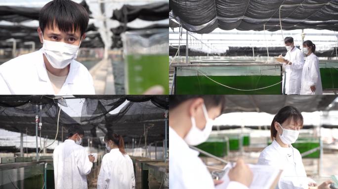 水质 养殖 取样 检查 水花