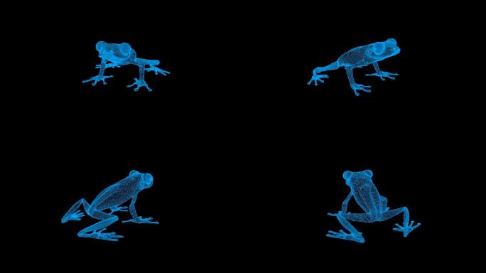 4K蓝色全息科技线框树蛙视频素材带通道