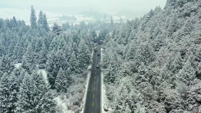 西藏林芝鲁朗林海雪景 高原风光 西藏雪景