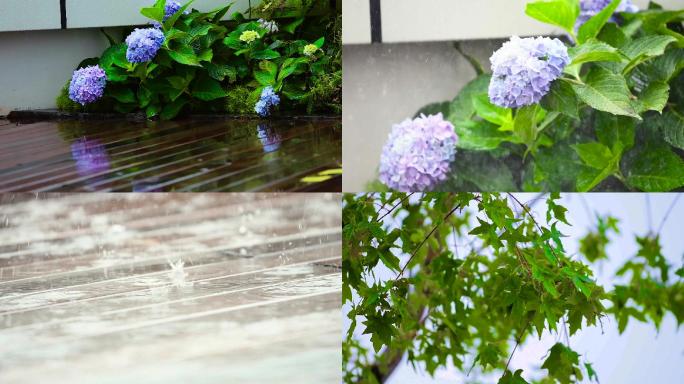 夏天下雨花草树木