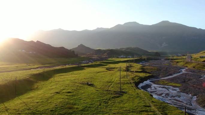 新疆山地草原日落牧羊航拍