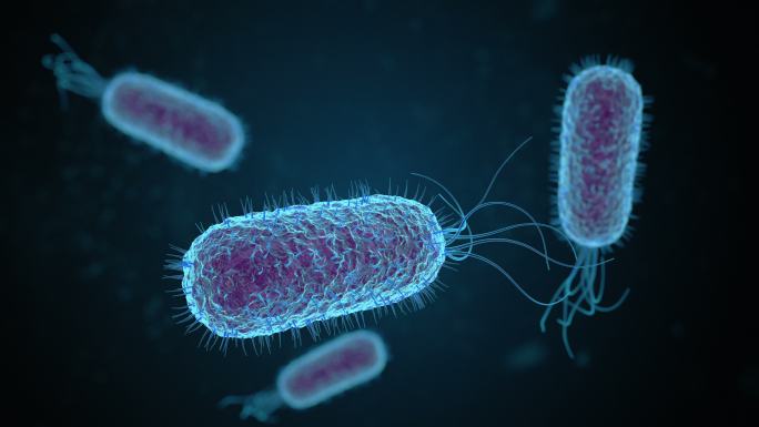 在显微镜下漂浮的大肠杆菌细胞或微生物