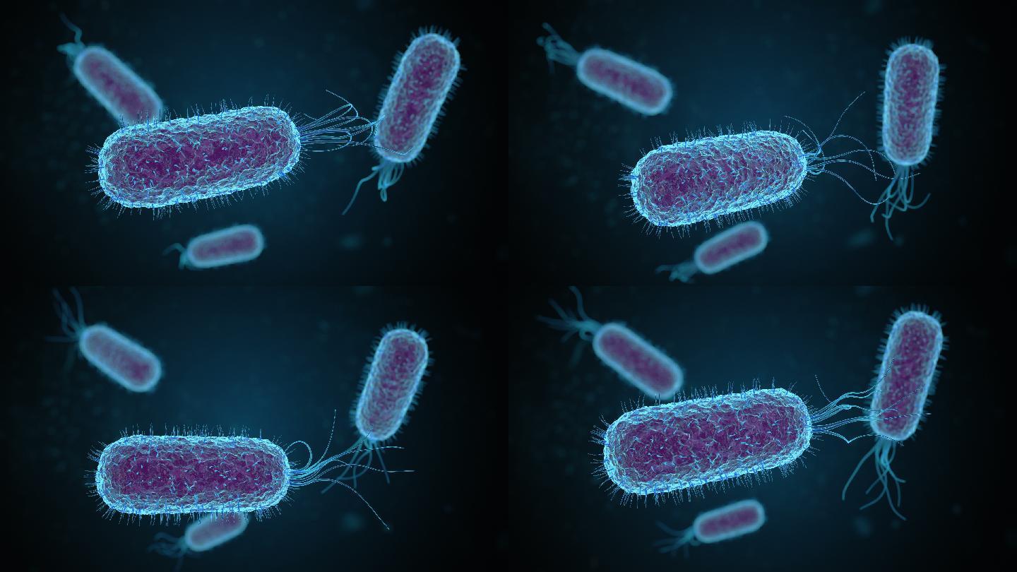 在显微镜下漂浮的大肠杆菌细胞或微生物