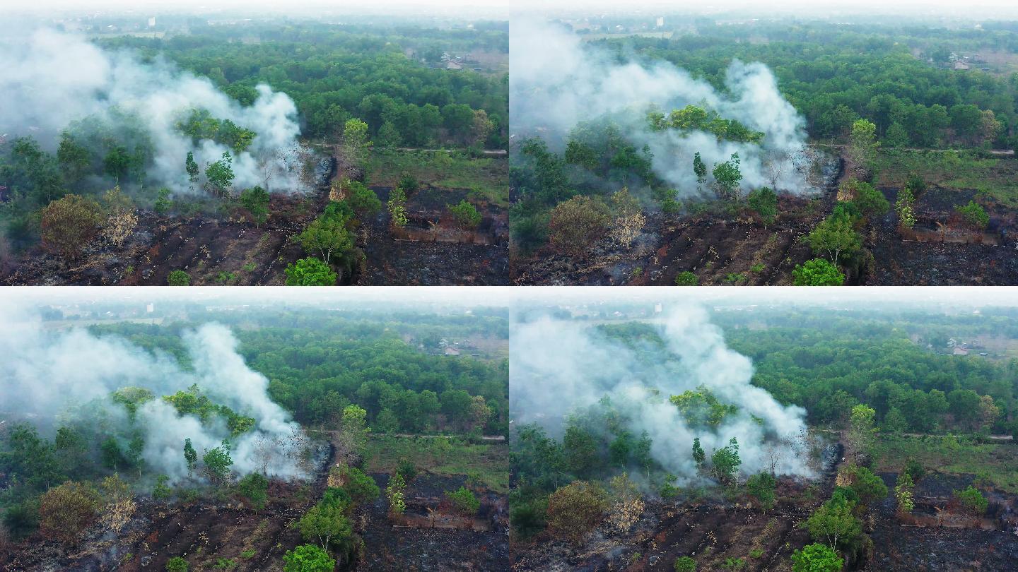 印度尼西亚婆罗洲加里曼丹岛森林火灾