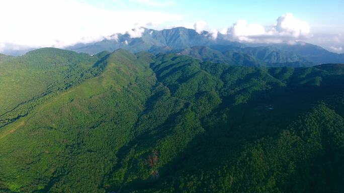 云南哀牢山脉大山森林航拍