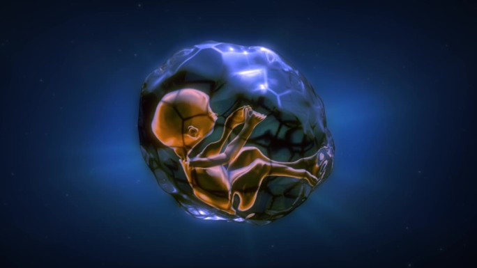 起源，一滴水中的胚胎