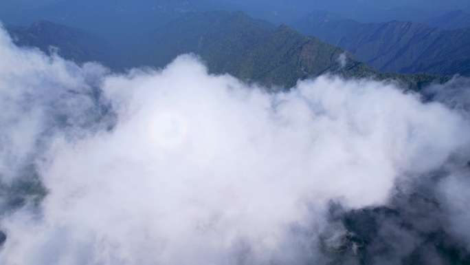 航怕贵州铜仁梵净山风景区