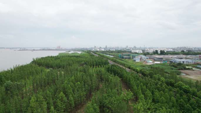 长江边绿化