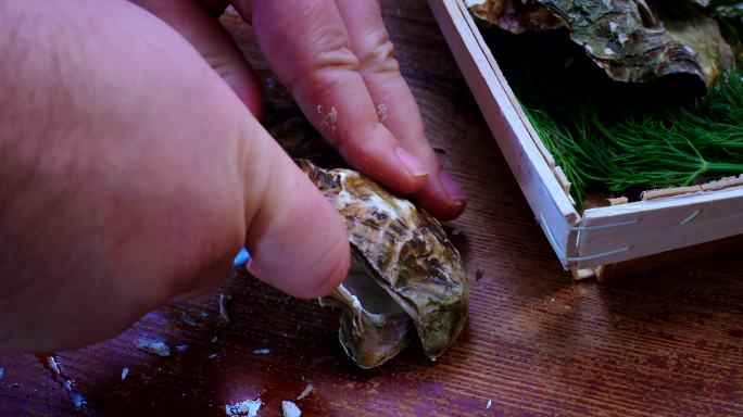 用牡蛎刀切开新鲜牡蛎