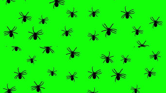 蜘蛛在绿色屏幕上爬行