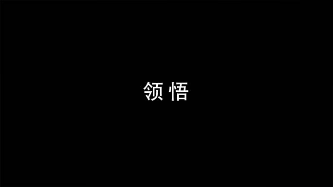 黑白简洁MG大气文字动画