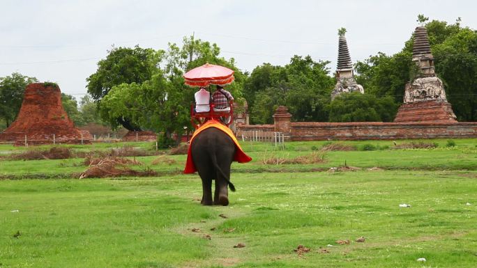 游客骑大象