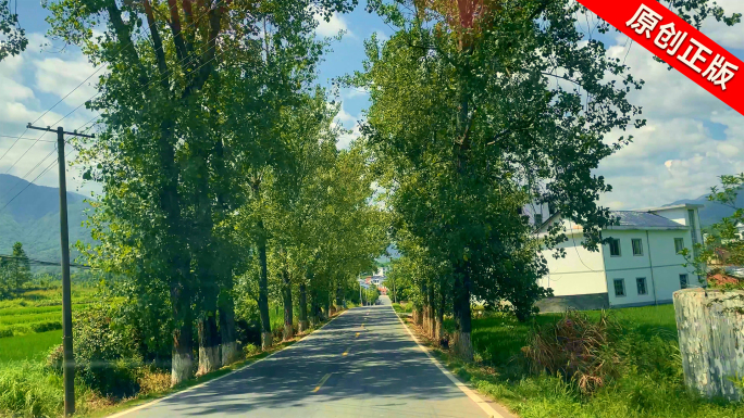 乡间公路【侵权必究】