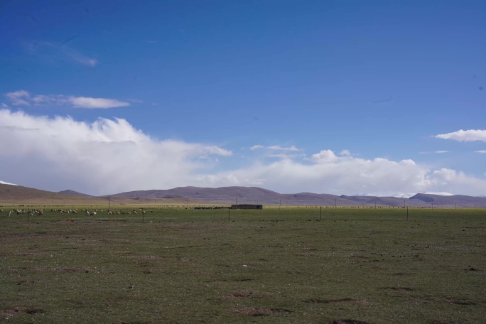 西藏高原牧场 西藏风光延时 西藏牧区