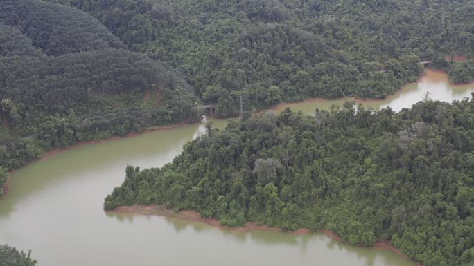 湄公河原始森林西双版纳望天树景区航拍4K