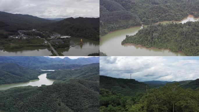 湄公河原始森林西双版纳望天树景区航拍4K