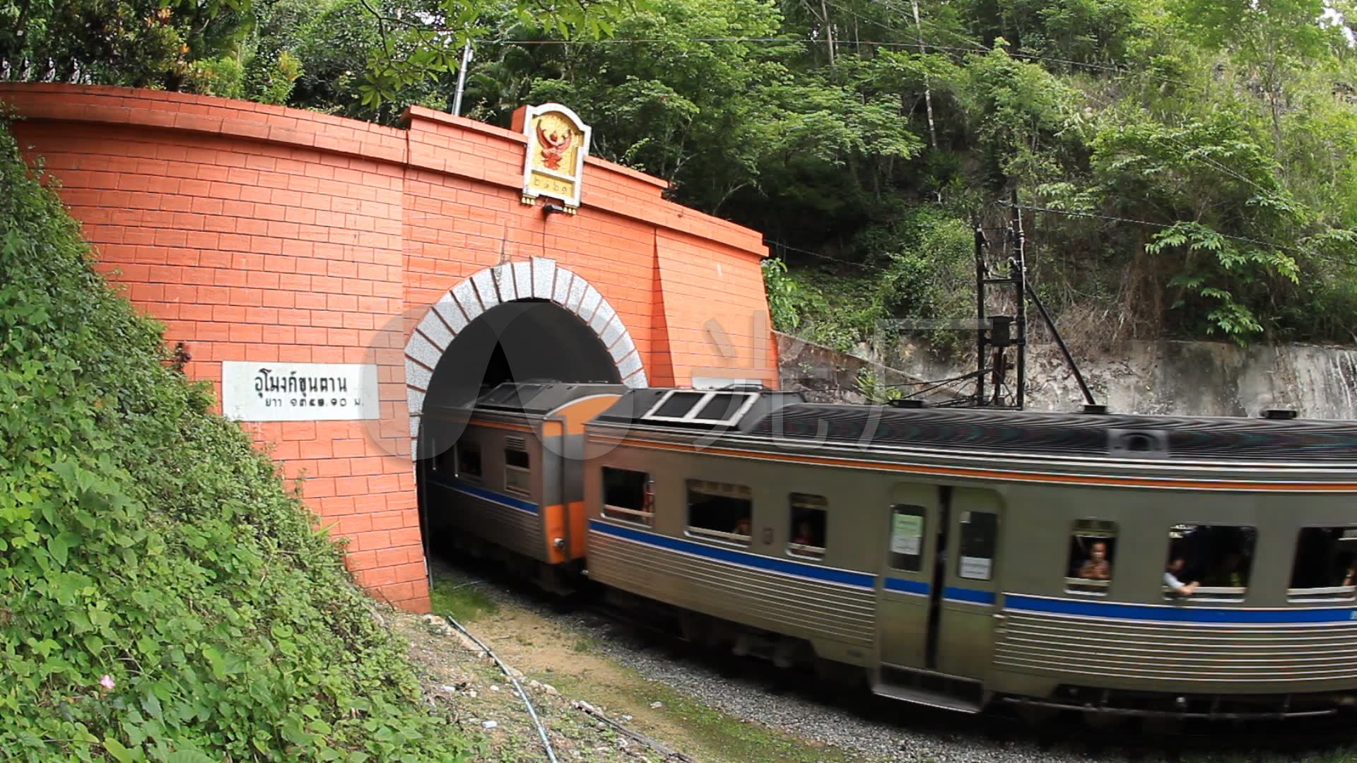 從你的全世界路過__路過蜻蜓