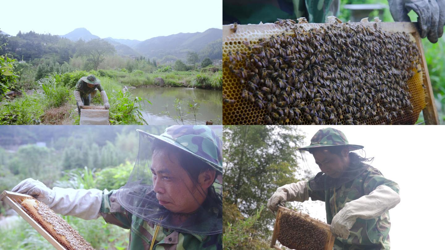 乡村振兴扶贫农业蜜蜂养蜂人蜂蜜