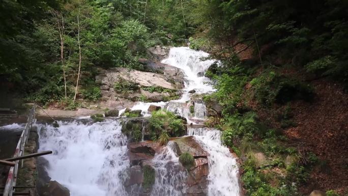 溪流 山涧小河 清澈原生态 高山流水