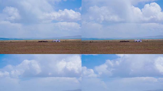 西藏高山牧场  西藏风光  高原风光延时