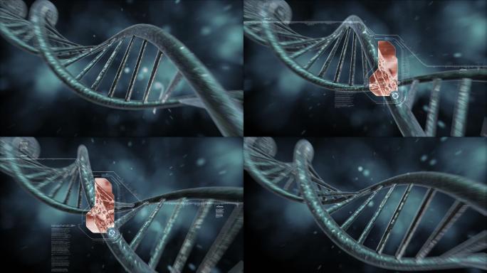 DNA链条，分析DNA链。纳米技术
