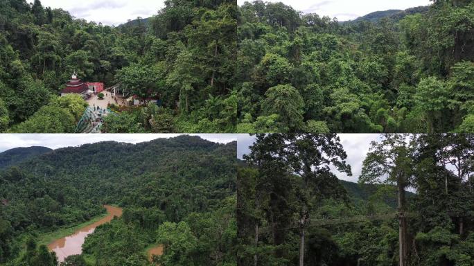 航拍4k云南西双版湄公河热带雨林