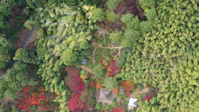 原创航拍  秋季是京都最好的季节之一