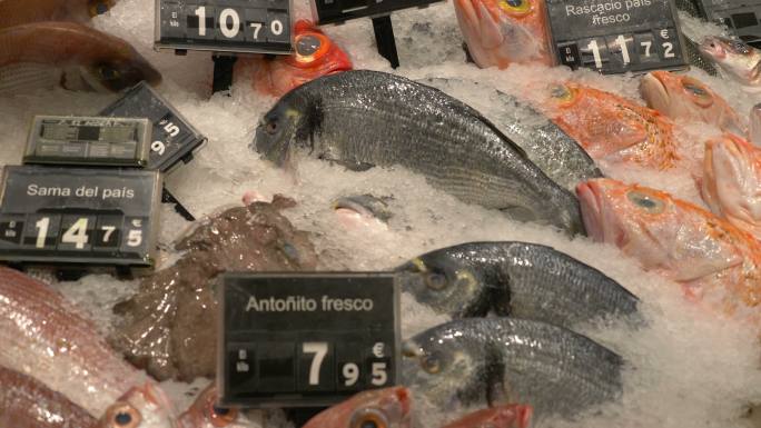 冷冻鱼海鲜冷冻食品超市海鲜摊位低温冷藏海
