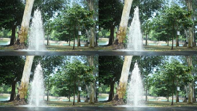 公园里的水管漏水。