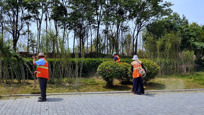 绿化养护环卫工人草坪除草园丁树木浇水洒水