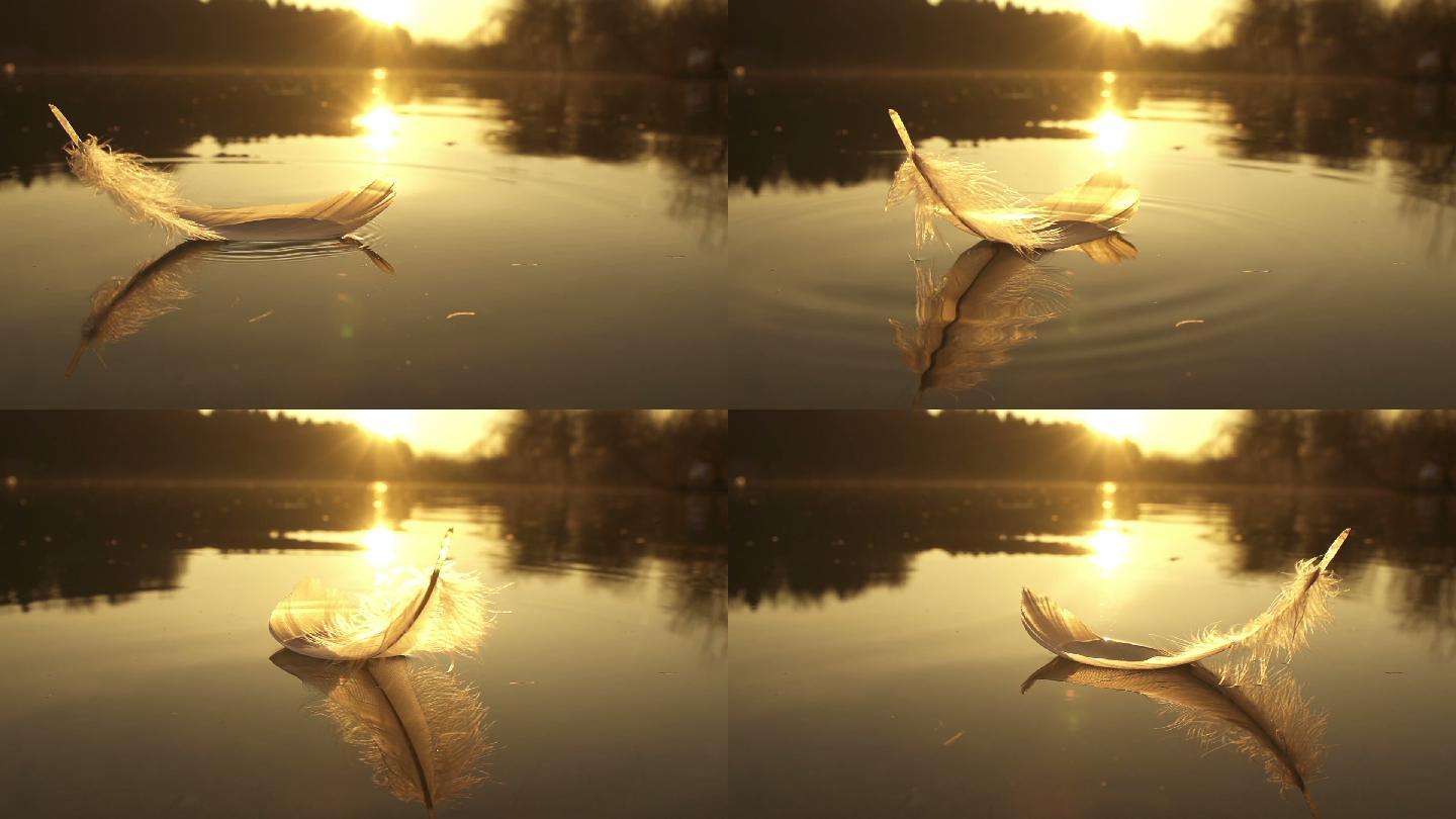羽毛掉在水面上轻盈落日夕阳