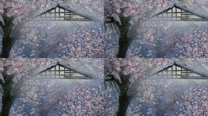 樱花循环