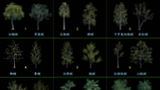4K写实动态通道树_组4/9_柳树/李树