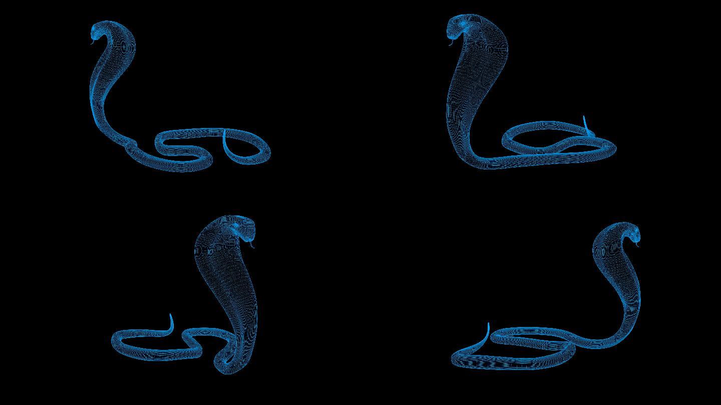 4K蓝色全息科技线框眼镜蛇素材旋转带通道