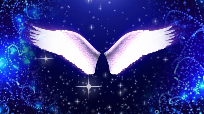 梦幻天使翅膀7