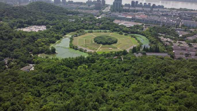 杭州十景八卦田航拍