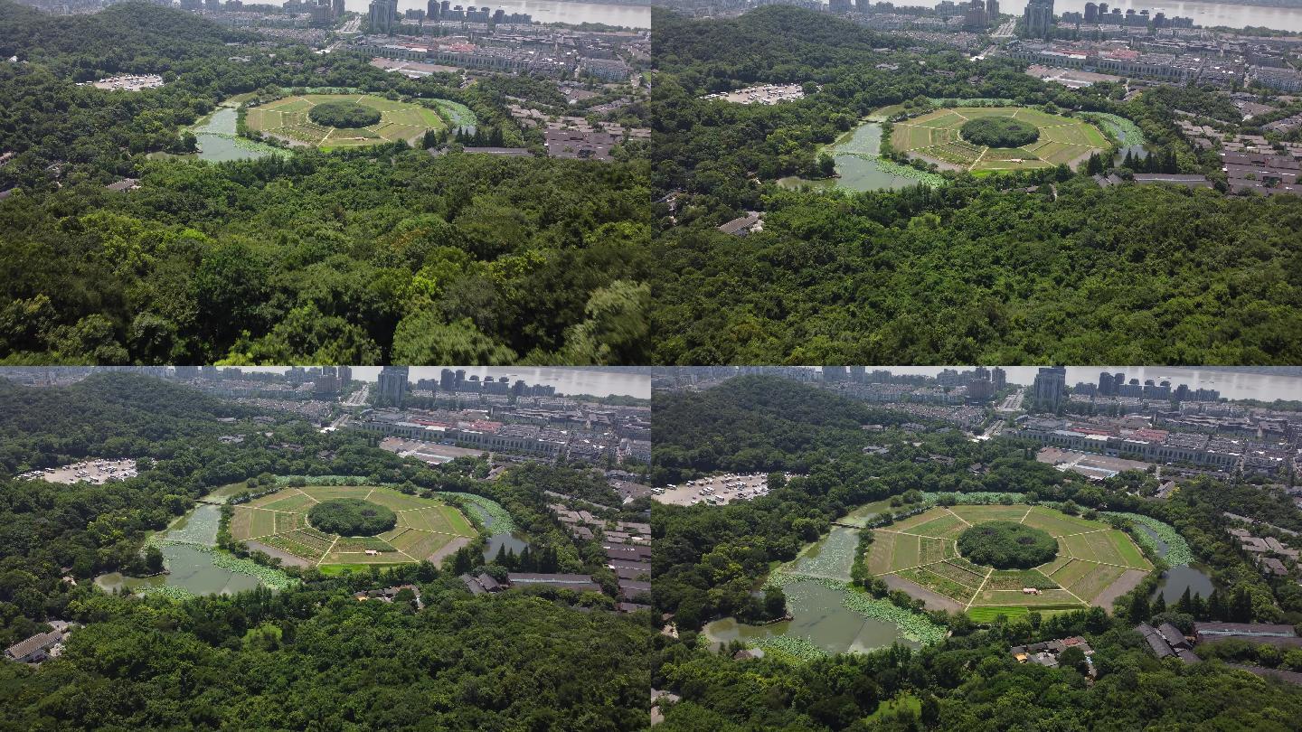 杭州十景八卦田航拍