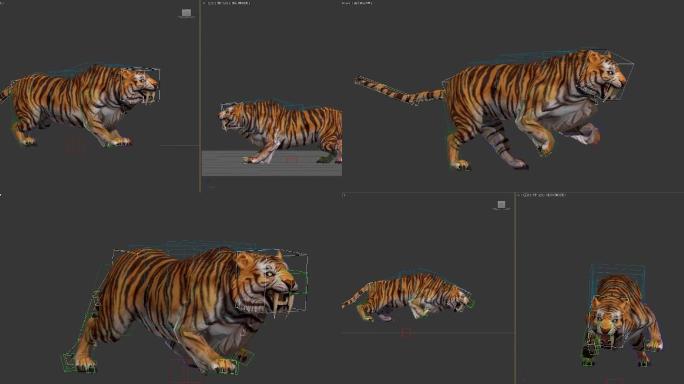 C4D老虎模型动作全套工程