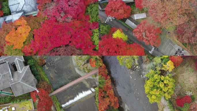 秋季是日本京都最好的季节之琉璃光院