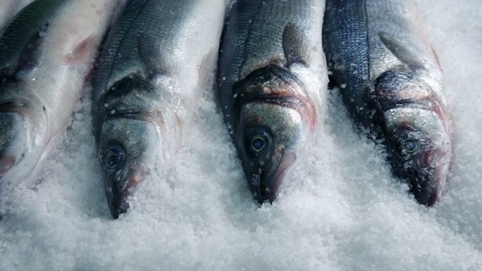 冰上面的鱼超市专柜海鱼海鲜冷冻保存