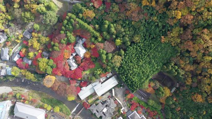 秋季是日本京都最好的季节之一琉璃光院