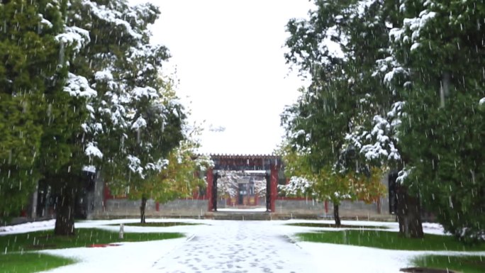 风景 校园  高校  雪景 古建筑