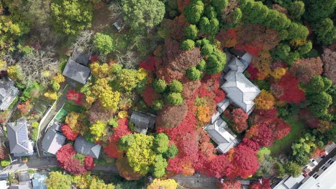 秋季是日本京都最好的季节之一琉璃光院